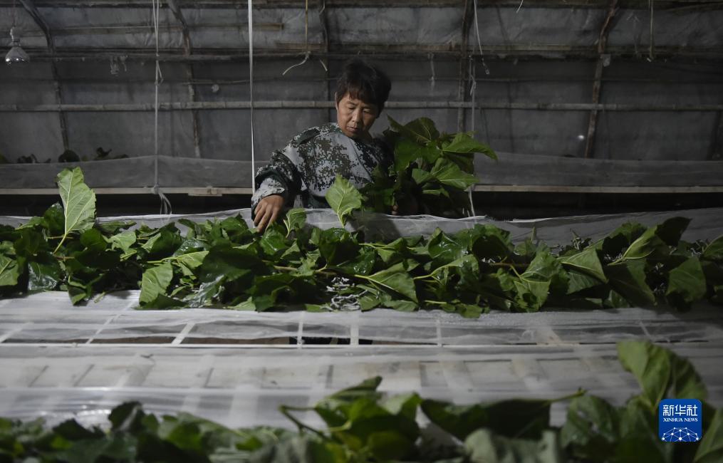 六串一走水一场怎么算